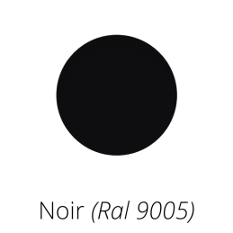 Coulisse 45 x 22 RAL 9005 Noir
