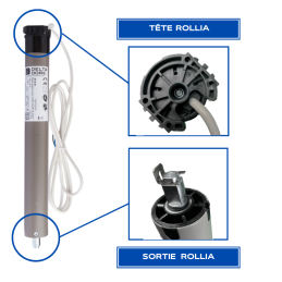 Moteur delta dore rollia d10f2