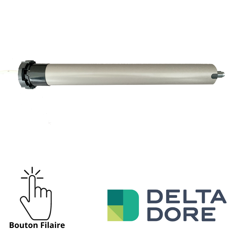 Moteur Delta Dore filaire TYMOOV D10F2 tête ROLLIA Moteur Delta Dore filaire TYMOOV D10F2 tête ROLLIA