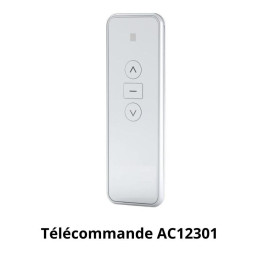 Télécommande AOK AC123-01