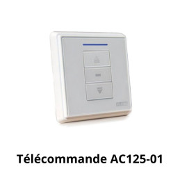 Télécommande AOK AC125-01