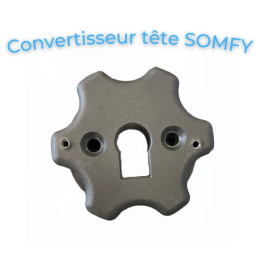 Adaptable Somfy avec le convertisseur de tête.