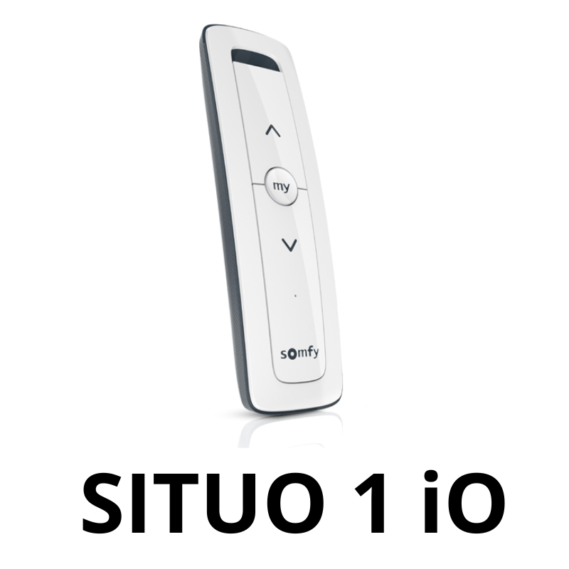 Somfy Situo 1 Pure (iO)