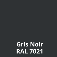 Gris Noir (RAL7021)