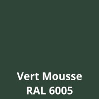 Vert mousse Ral 6005